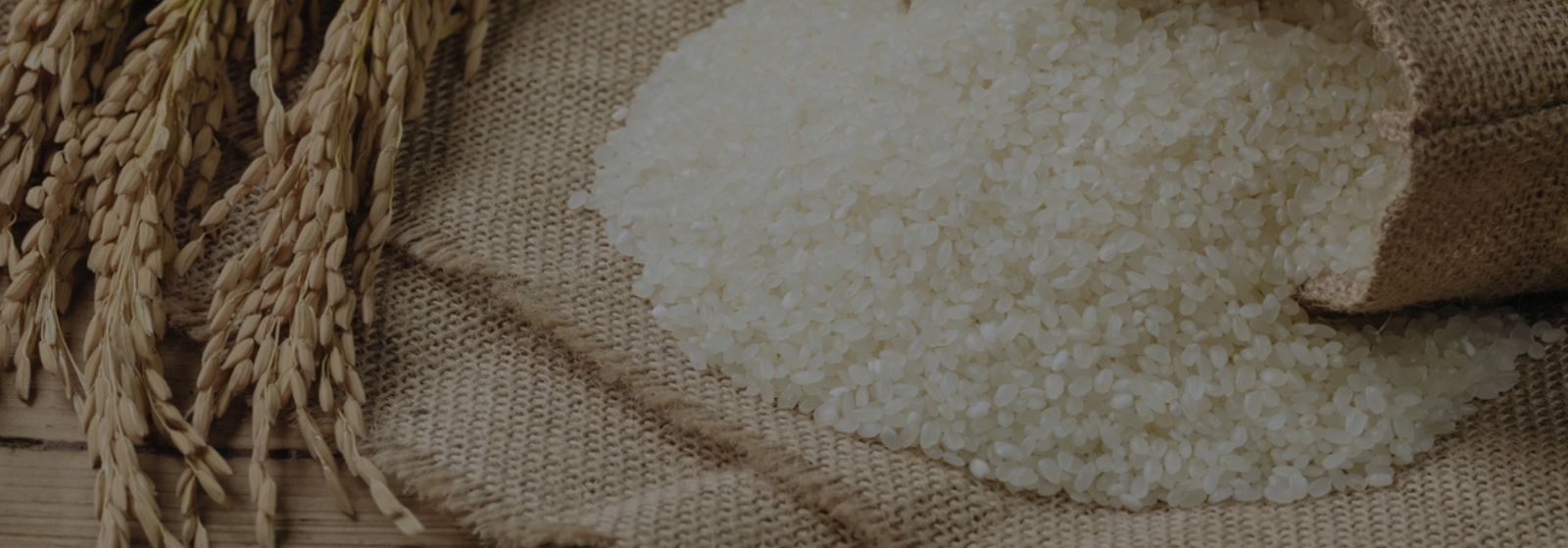 Global Export Solutions